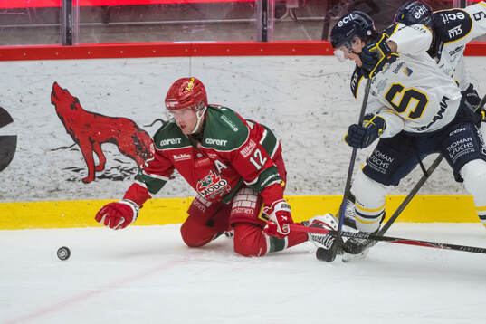 Modos Oscar Pettersson
