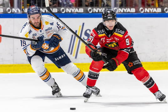 Luleås Brian O'Neill och Växjös Reid Gardiner