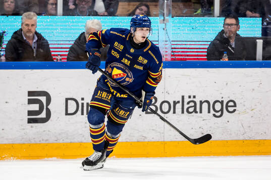 Djurgårdens Håvard Salsten