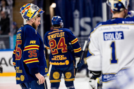 Under ishockeymatchen i SHL mellan Leksand och Djurgården