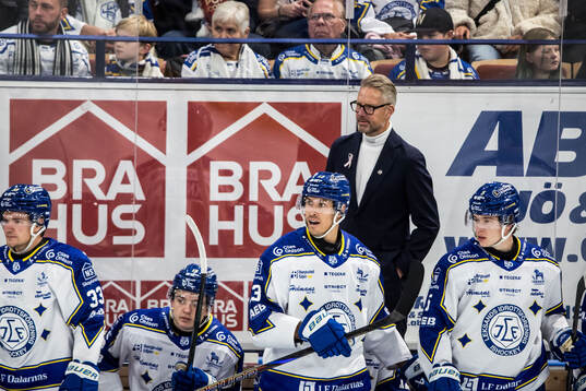 Leksands tränare Johan Hedberg