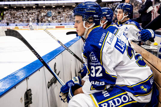 Leksands Jonas Lagerberg-Hoen