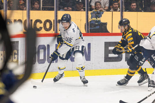 HV71s Andreas Borgman