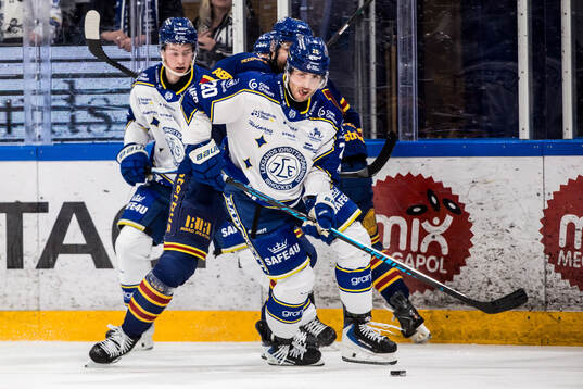 Leksands Nolan Stevens