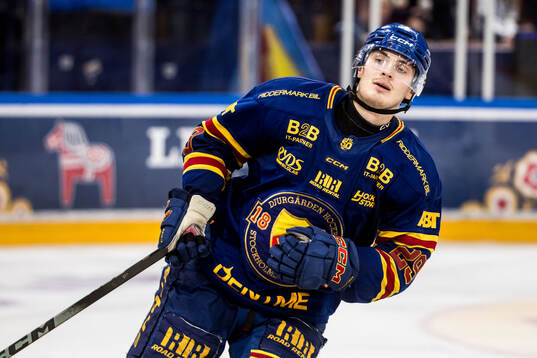 Leksands Michael Lindqvist