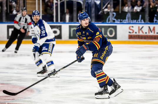 Djurgårdens Håvard Salsten
