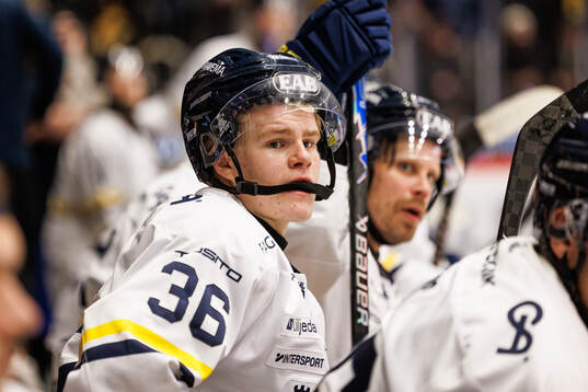 HV71s Martin Johnsen deppar