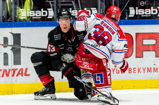 Malmö Redhawks Fredrik Händemark och Timrås Albin Sundin