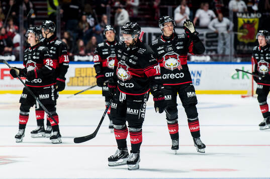 Malmö Redhawks spelare deppar