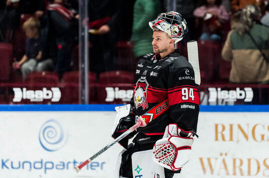 Malmö Redhawks målvakt Marek Langhamer deppar