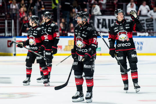 Malmö Redhawks spelare deppar