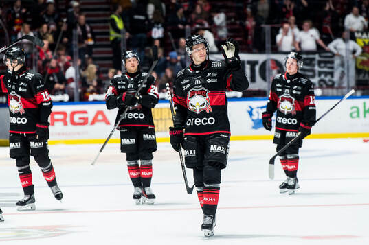 Malmö Redhawks spelare deppar