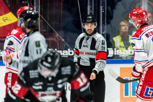 Domare Mattias Enroth