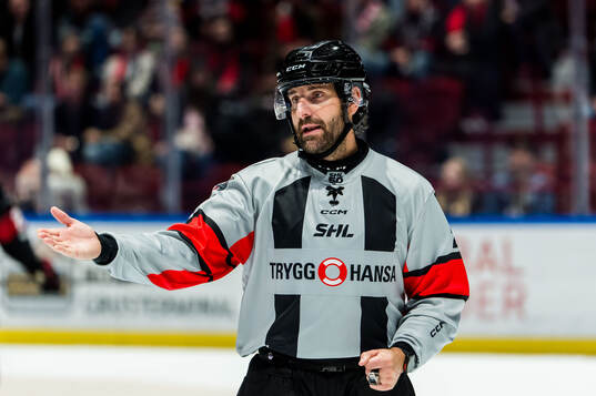 Domare Mikael Sjöqvist