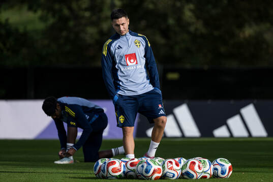 Roony Bardghji of the Swedish men's national football team