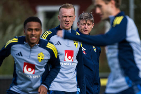Bläddra bland fler bilder av Football, FIFA World Cup Qualifier, Sweden, Training