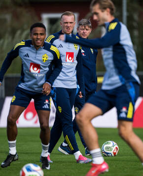 Head coach Jon Dahl Tomasson of the Swedish men's national