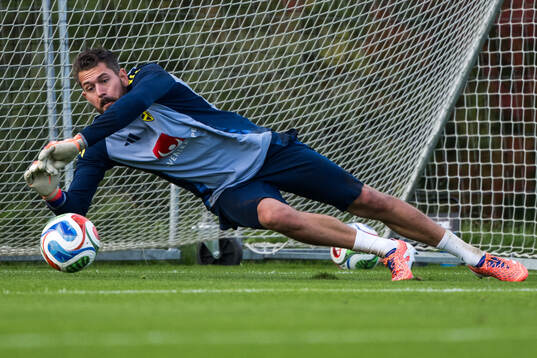 goalkeeper Kristoffer Nordfeldt of the Swedish men's