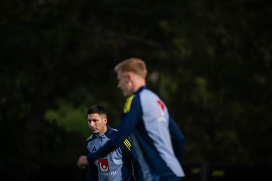 Roony Bardghji of the Swedish men's national football team