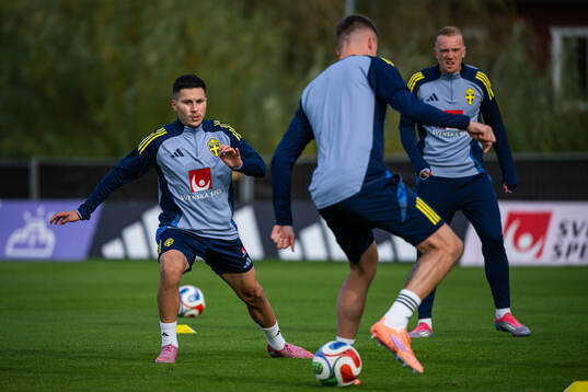 Roony Bardghji of the Swedish men's national football team