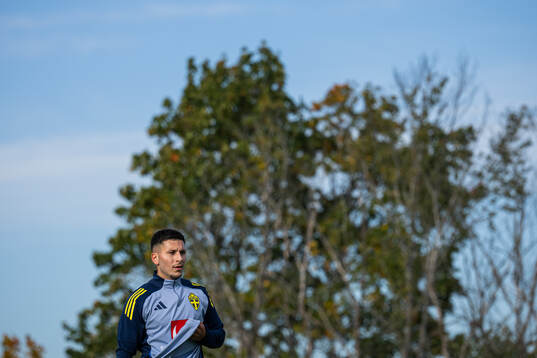 Roony Bardghji of the Swedish men's national football team