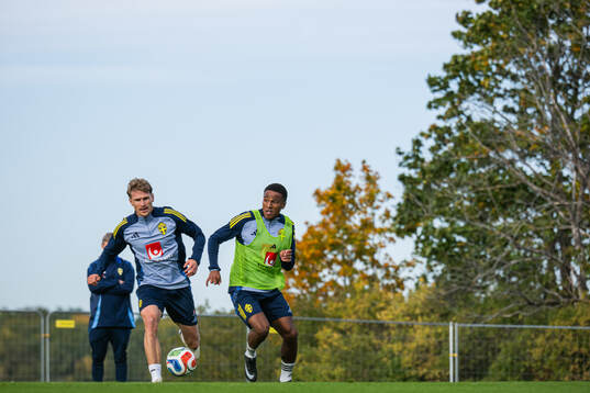 Carl Starfelt and Niclas Eliasson of the Swedish men's