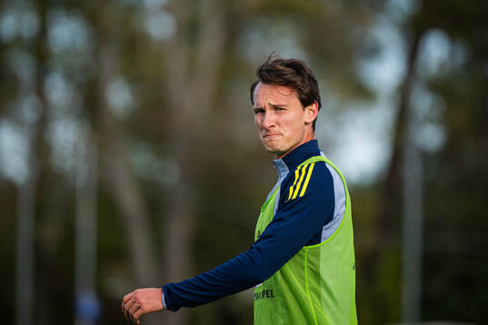 Hjalmar Ekdal of the Swedish men's national football team