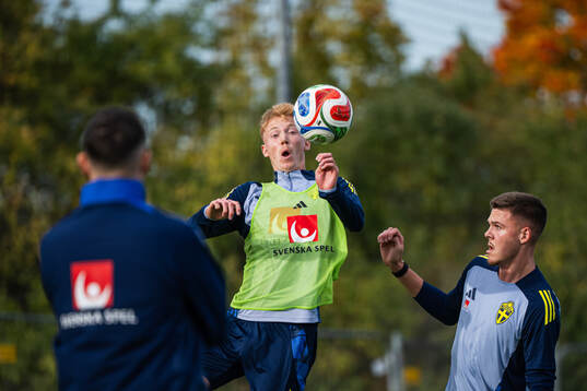 Hugo Larsson and Emil Holm of the Swedish men's national