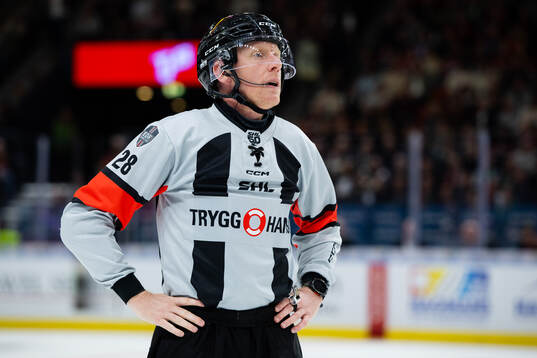 Domare Mikael Holm