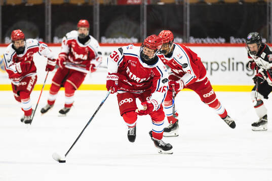 Timrås Sixten Randefalk