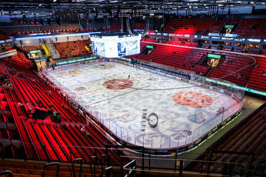 Monitor ERP Arena