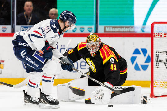 Bläddra bland fler bilder av Ishockey, SHL, Brynäs - Linköping