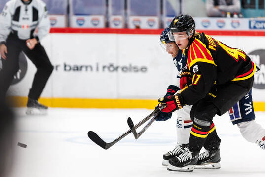 Linköpings Markus Ljungh och Brynäs Lucas Pettersson