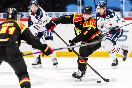 Brynäs Christian Djoos