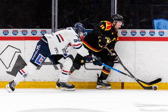 Brynäs Johan Larsson