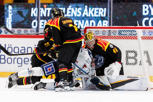 Linköpings Adam Hofbauer och Brynäs målvakt Damian Clara