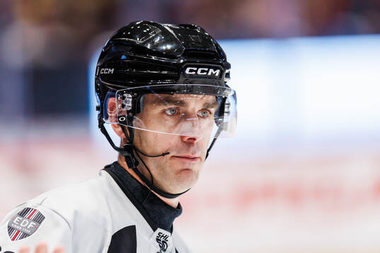 Domare Richard Magnusson