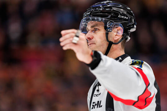 Domare Richard Magnusson