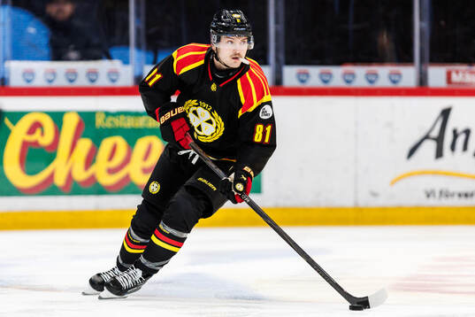 Brynäs Kieffer Bellows