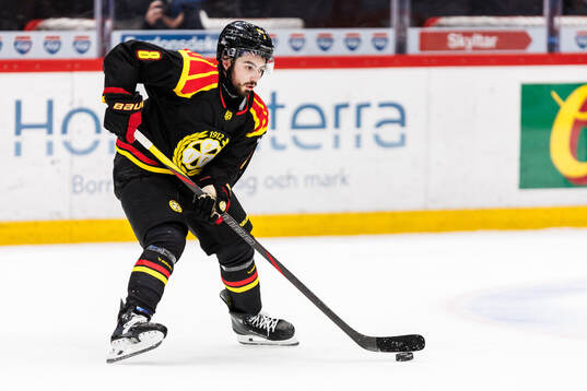 Brynäs Bobby Trivigno