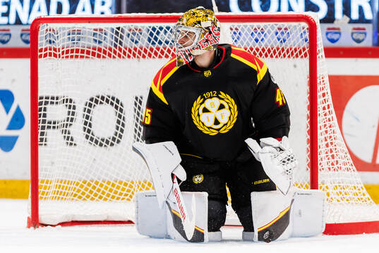 Brynäs målvakt Damian Clara