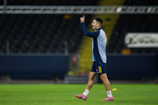Roony Bardghji of the Swedish men’s national football