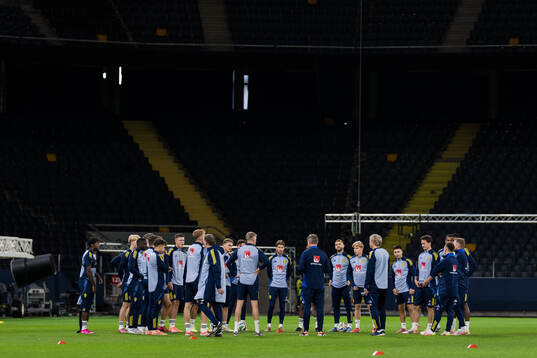 Players of the Swedish men’s national football team at a