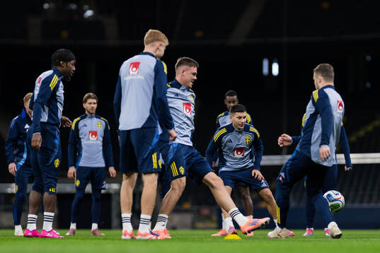 Bläddra bland fler bilder av Football, FIFA World Cup Qualifier, Sweden, Training