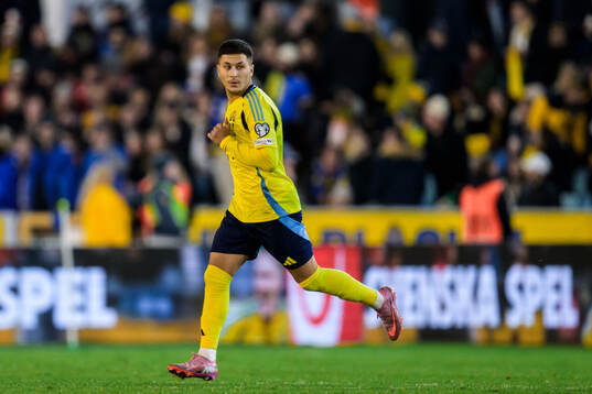 Roony Bardghji of Sweden
