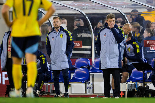 Assistant coach Sebastian Larsson and Head coach Jon Dahl