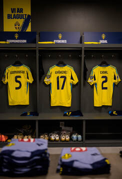 The jerseys of Gabriel Gudmundsson, Viktor Gyökeres and