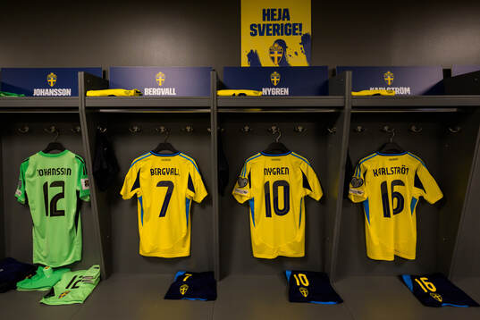 The jerseys of goalkeeper Viktor Johansson, Lucas Bergvall,
