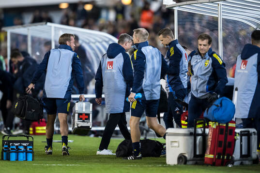 Head coach Jon Dahl Tomasson of Sweden