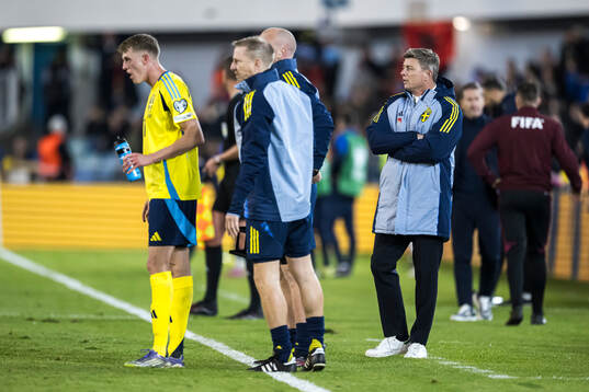 Head coach Jon Dahl Tomasson of Sweden